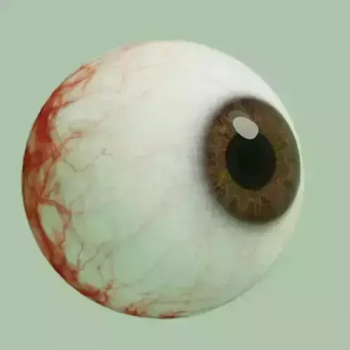 Realistic Eye Model Blender