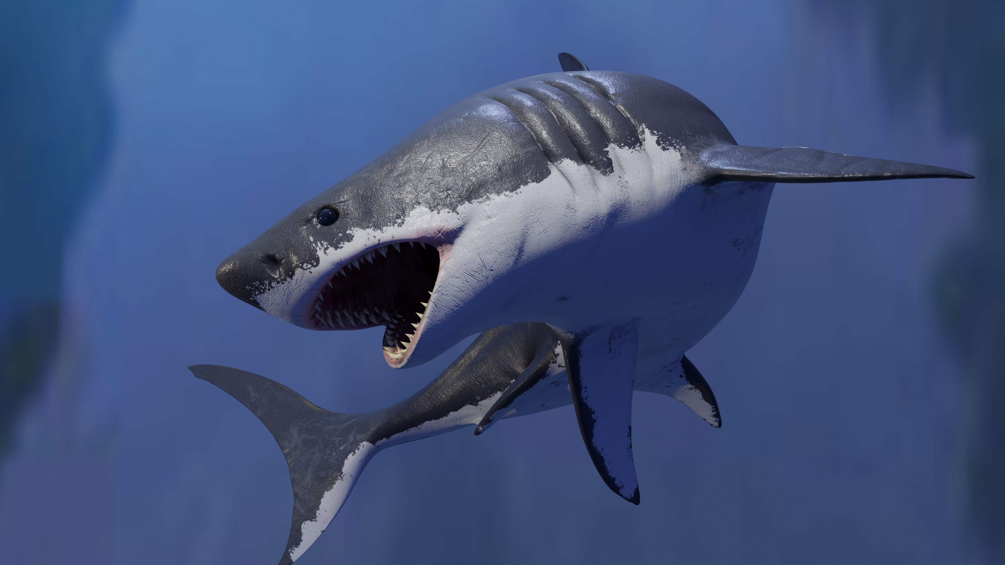 White Shark Animated OldModel Low-poly 3D model_6