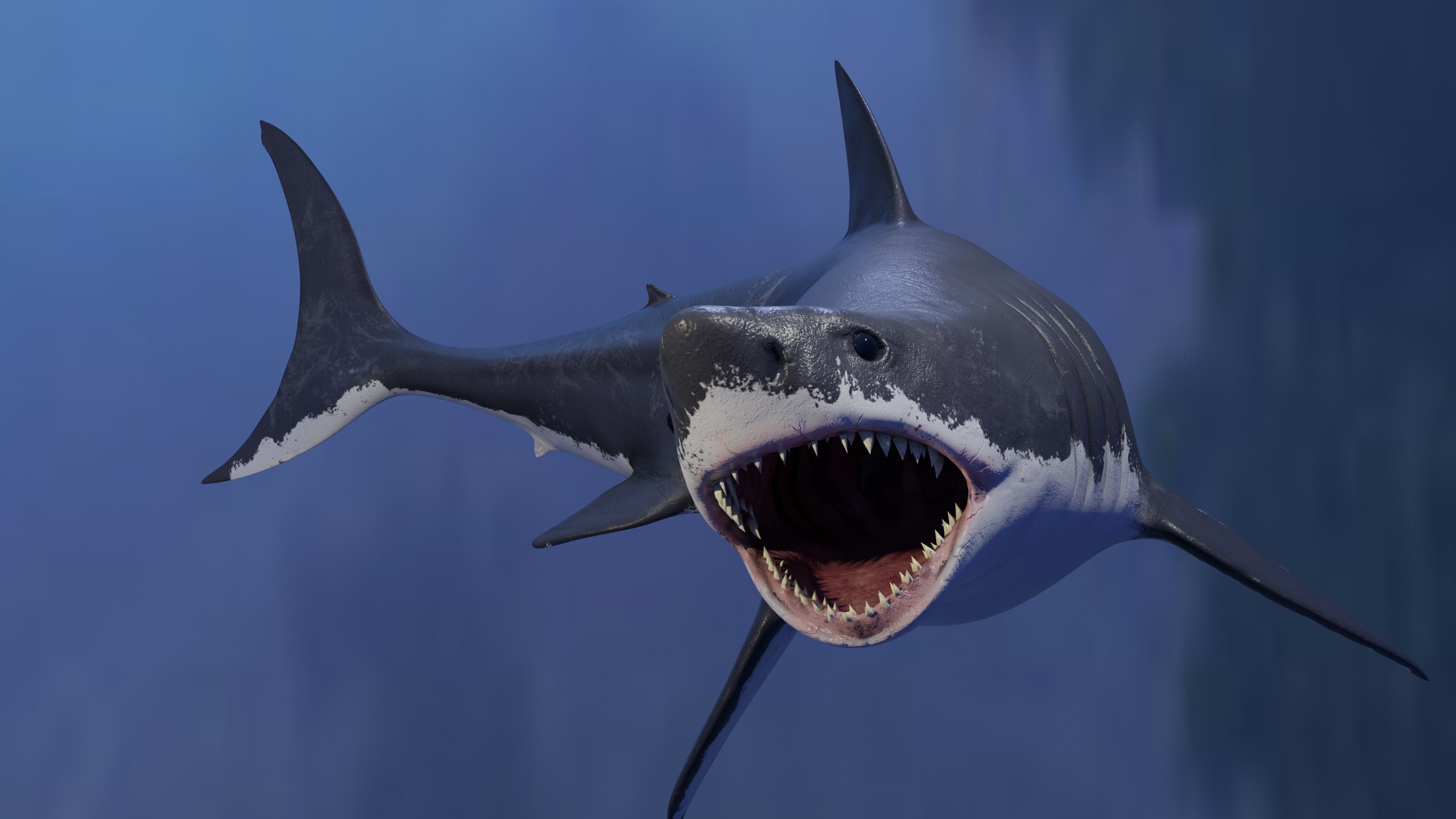 White Shark Animated OldModel Low-poly 3D model_7