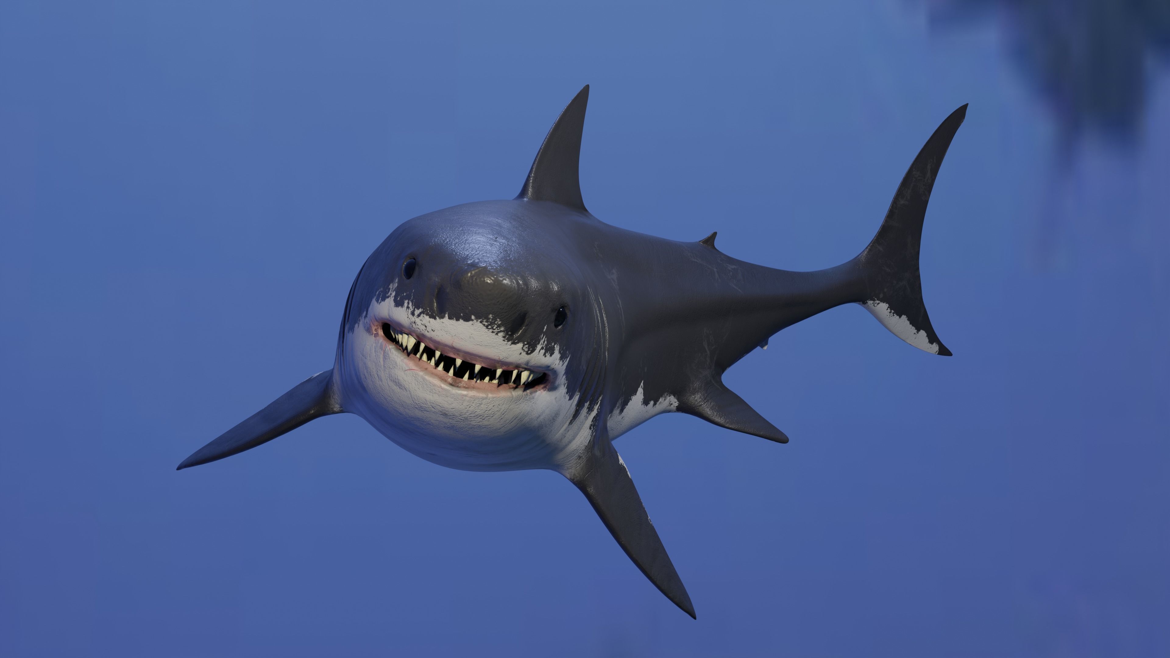 White Shark Animated OldModel Low-poly 3D model_5
