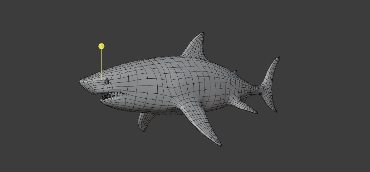 White Shark Animated OldModel Low-poly 3D model_9