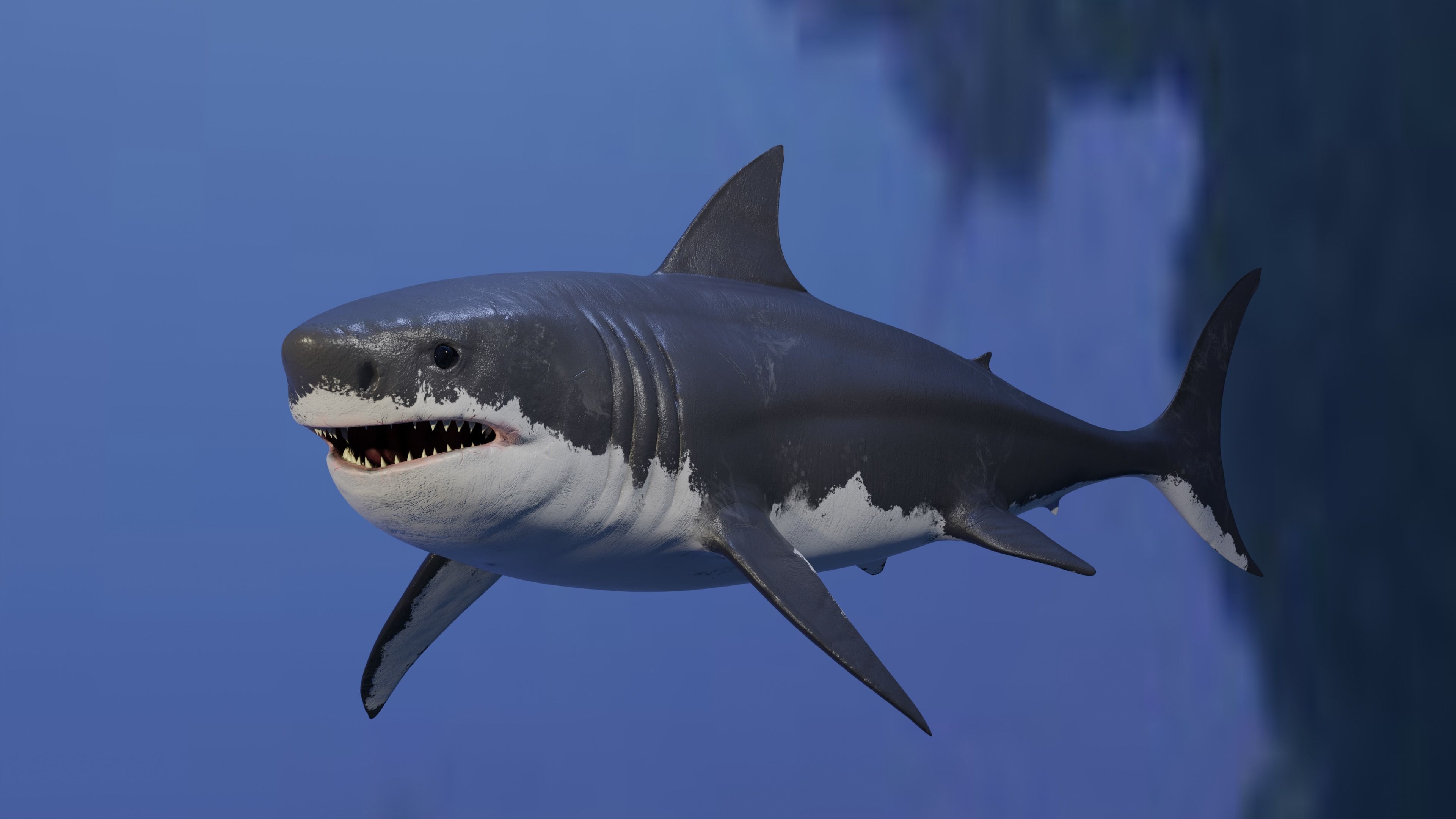 White Shark Animated OldModel Low-poly 3D model_3