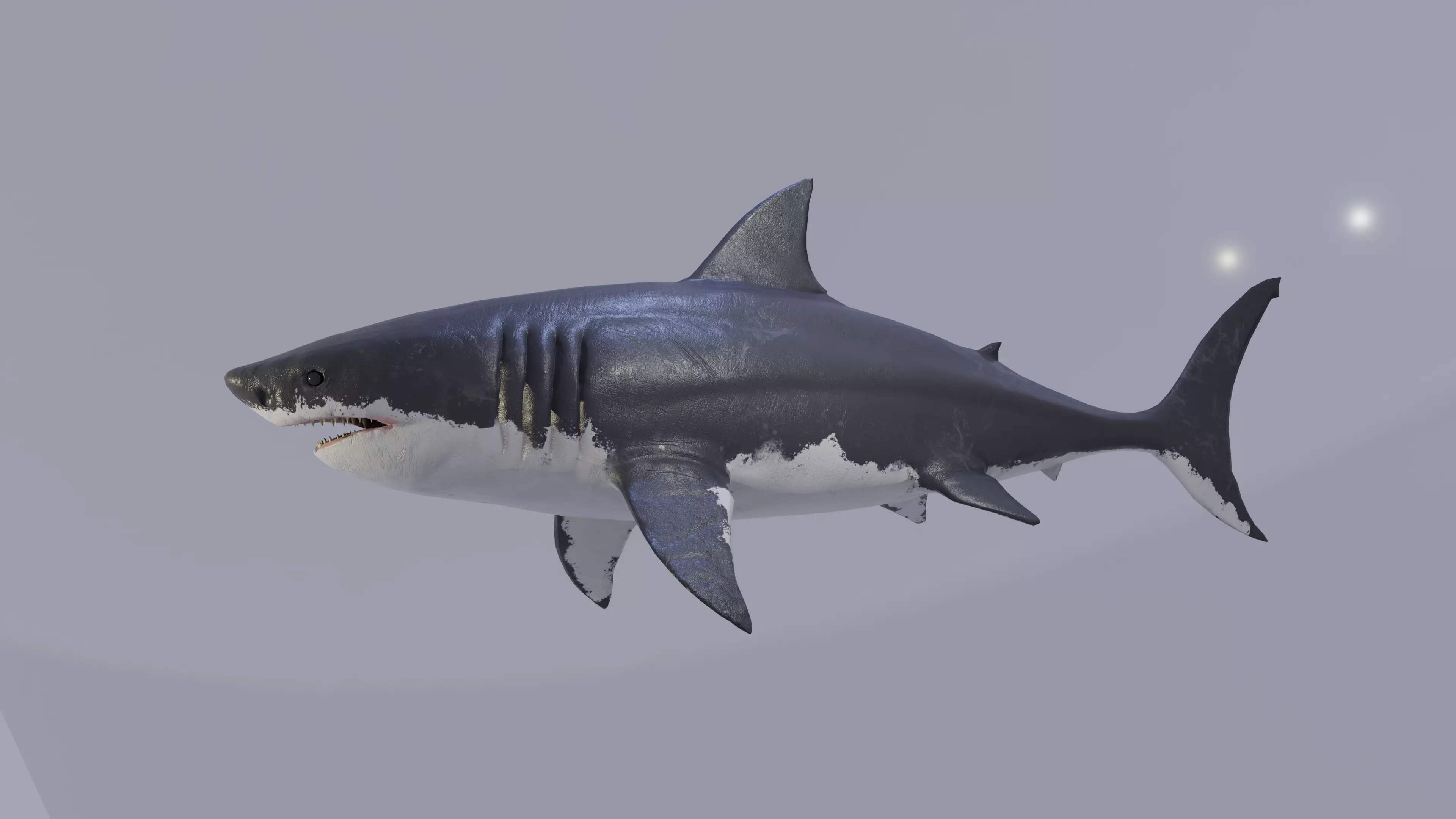 White Shark Animated OldModel Low-poly 3D model_0