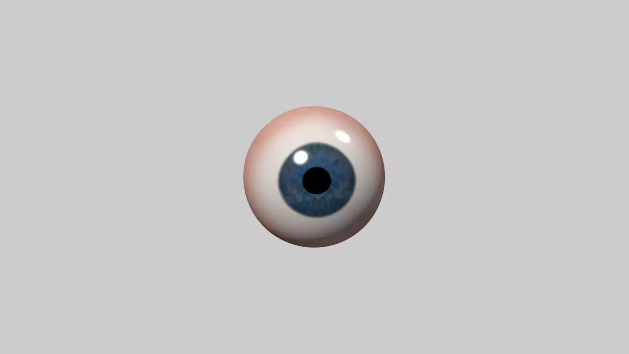 Eyeball eye 3D model_0