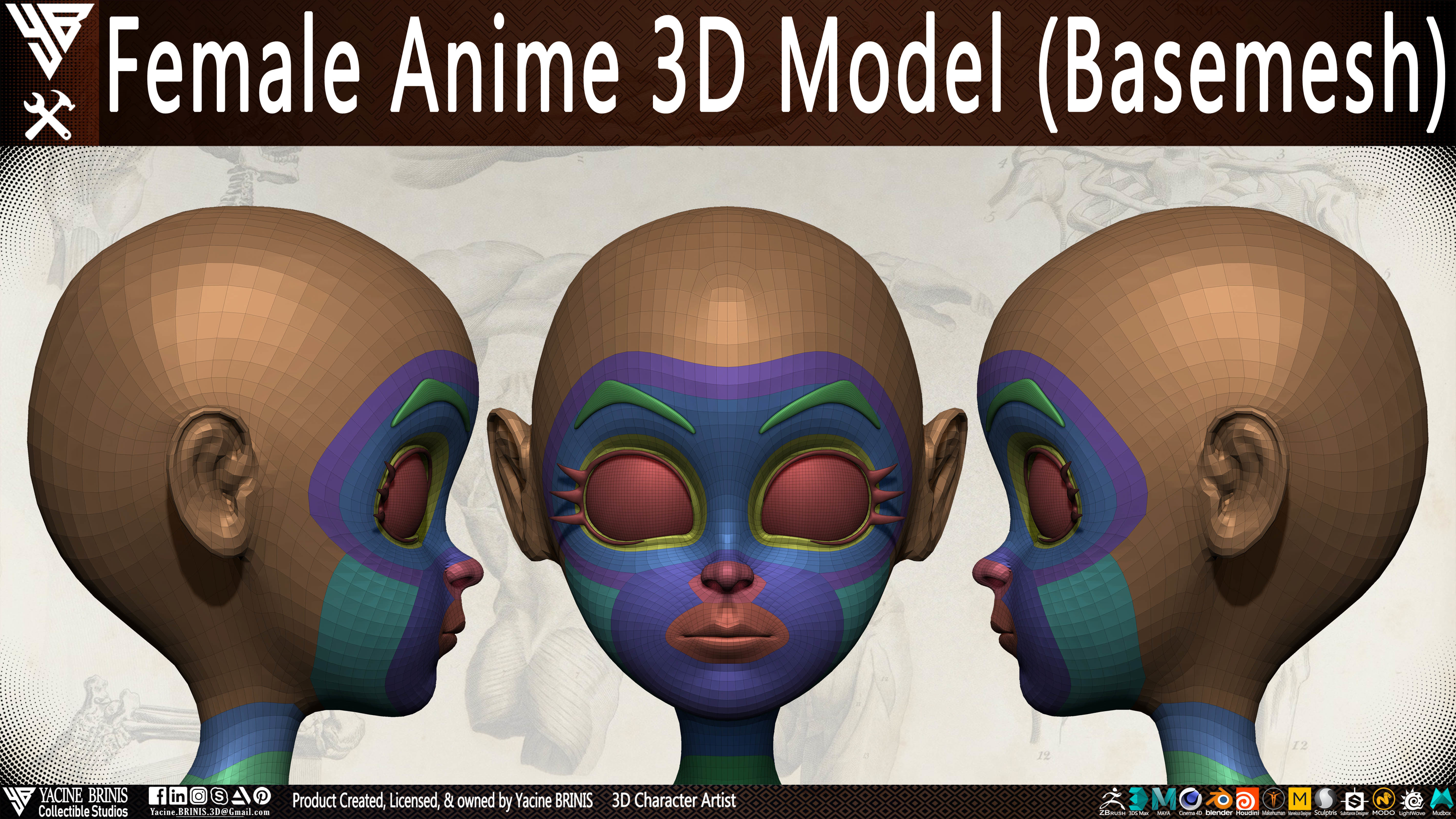 Female Anime Base-mesh 3D Model Vol 03 Low-poly 3D model_11