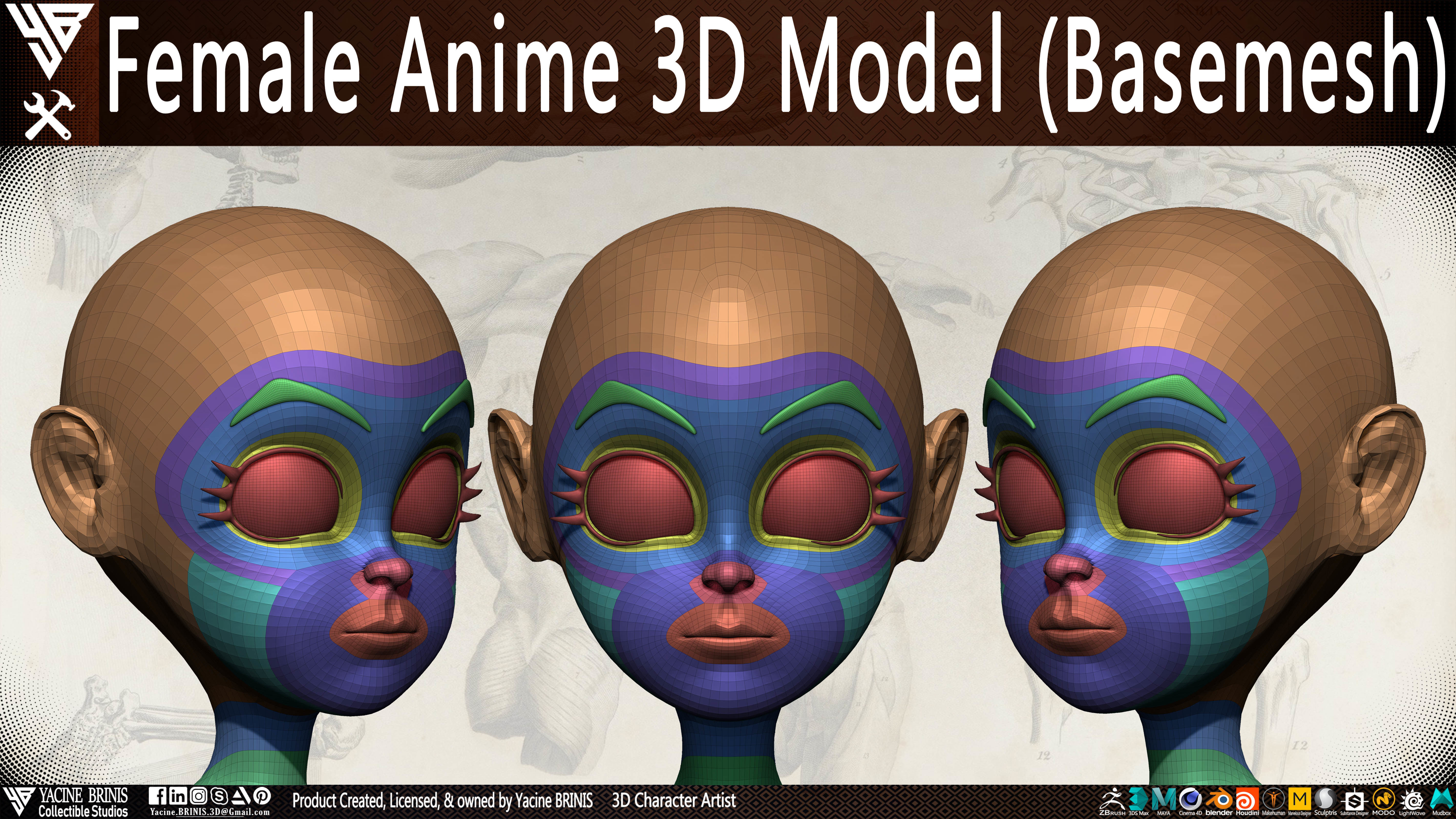 Female Anime Base-mesh 3D Model Vol 03 Low-poly 3D model_9