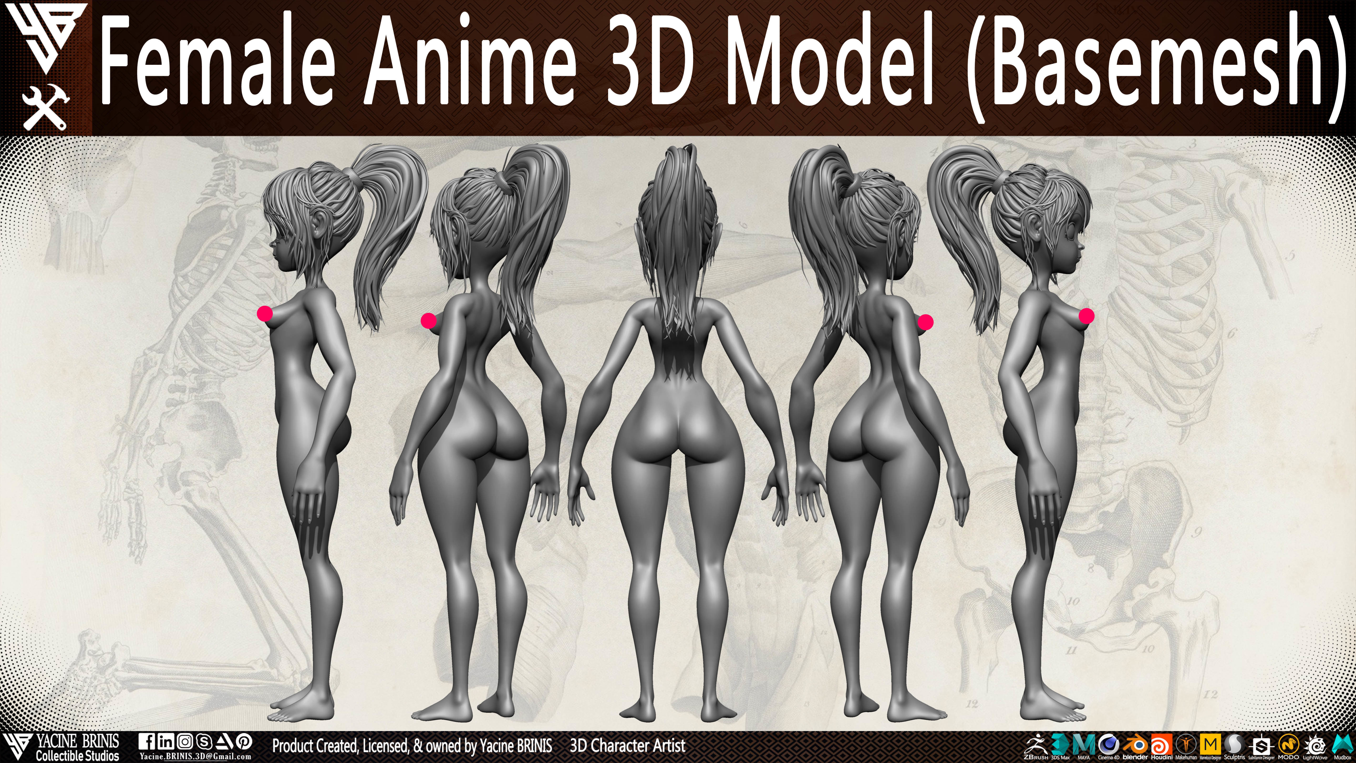 Female Anime Base-mesh 3D Model Vol 03 Low-poly 3D model_2