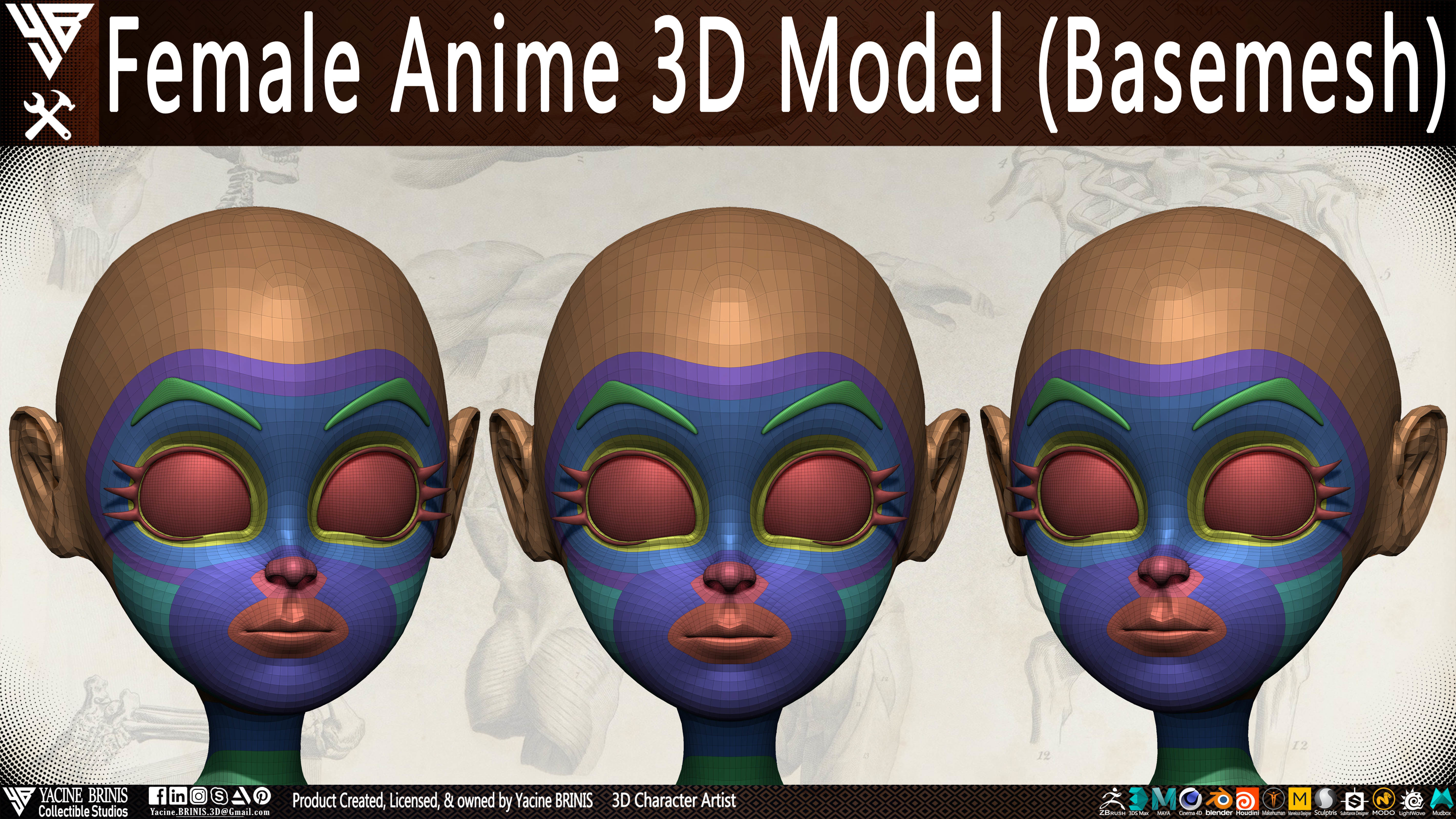 Female Anime Base-mesh 3D Model Vol 03 Low-poly 3D model_10