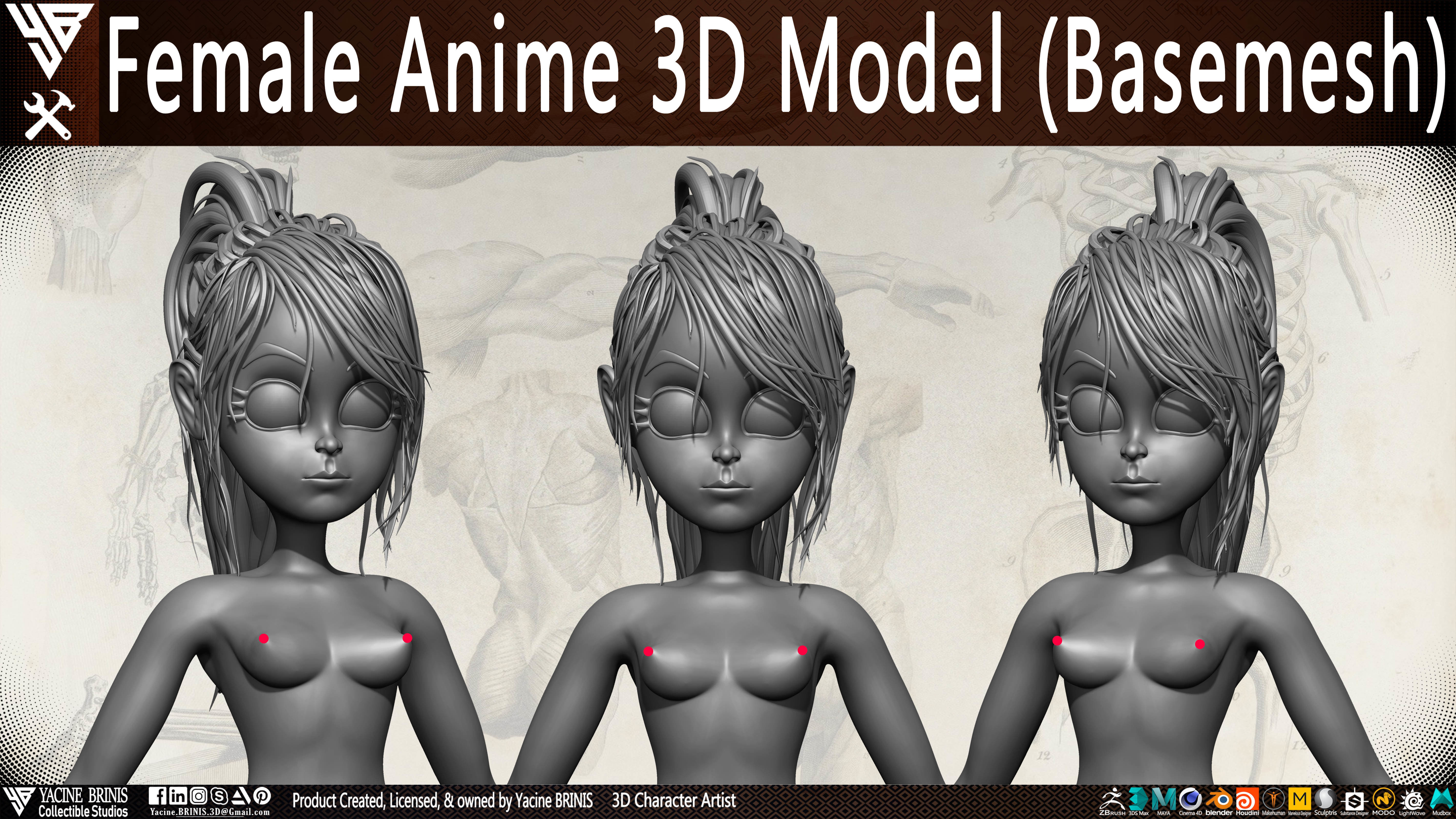 Female Anime Base-mesh 3D Model Vol 03 Low-poly 3D model_6
