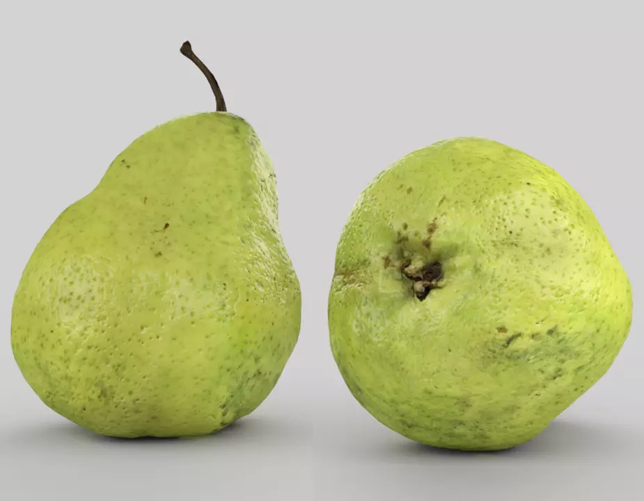 Pear - Packham 3D model