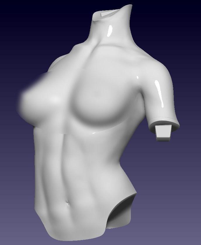 Octopus woman 3D print model_8