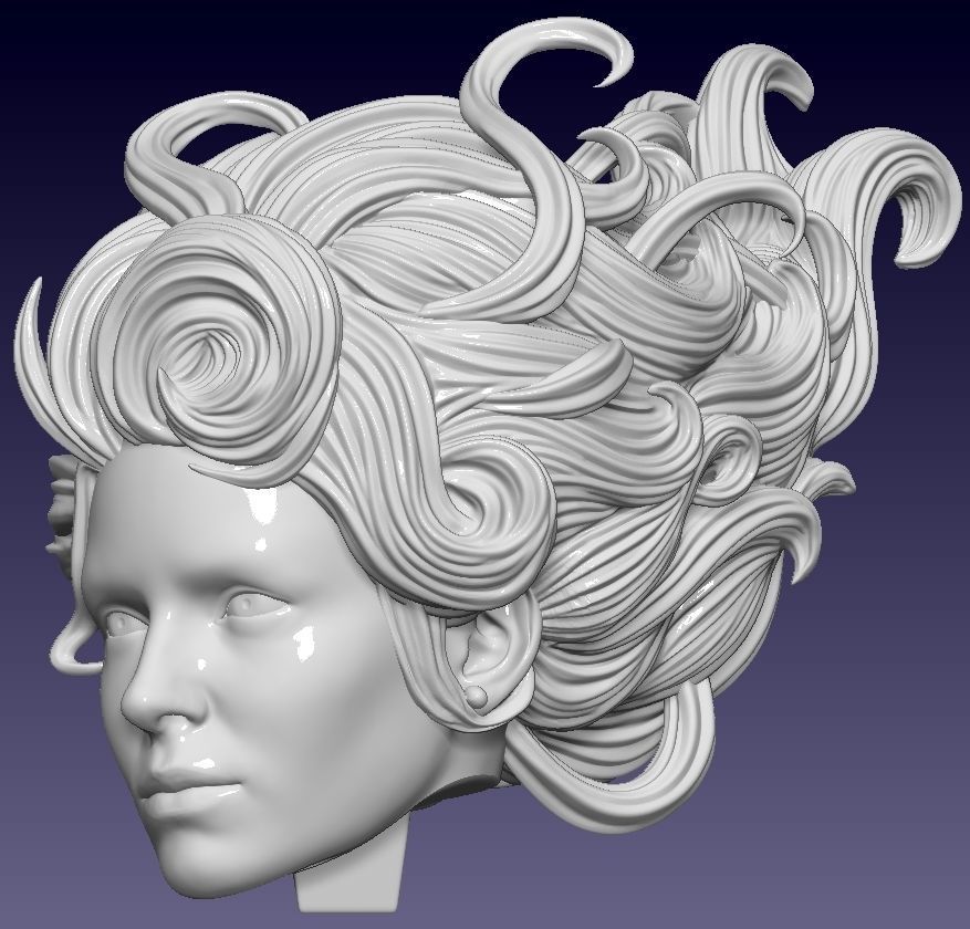 Octopus woman 3D print model_7