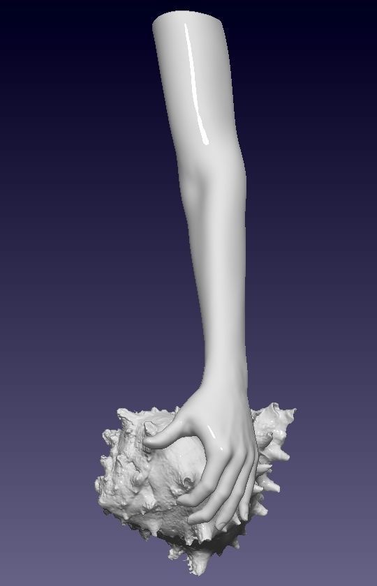 Octopus woman 3D print model_12