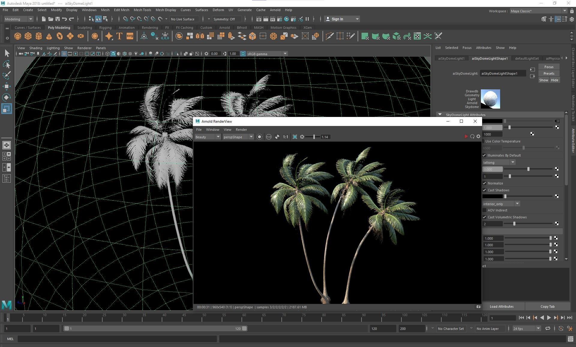 New Plant High detail Cocos Nucifera Windy 3D model_5