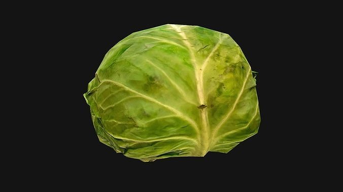 Cabbage head of Vegetables Farm Village Food Low-poly 3D model 6