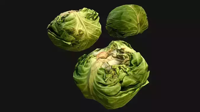 Cabbage head of Vegetables Farm Village Food Low-poly 3D model
