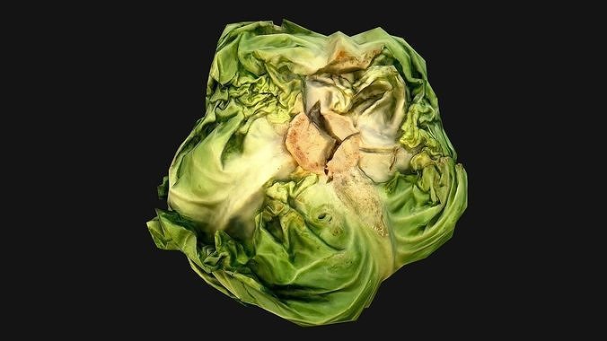 Cabbage head of Vegetables Farm Village Food Low-poly 3D model 4