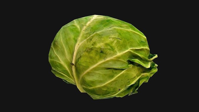 Cabbage head of Vegetables Farm Village Food Low-poly 3D model 7