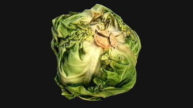 Cabbage head of Vegetables Farm Village Food Low-poly 3D model 3