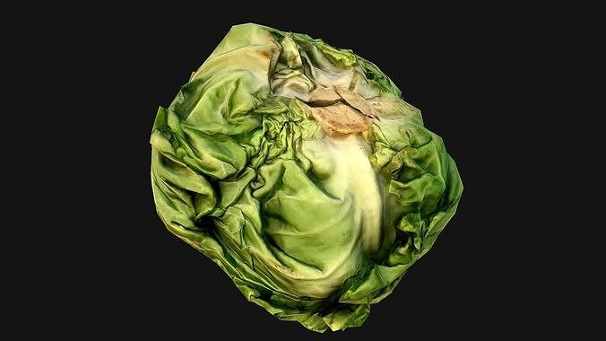 Cabbage head of Vegetables Farm Village Food Low-poly 3D model 2