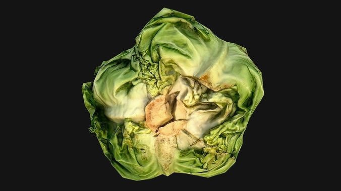 Cabbage head of Vegetables Farm Village Food Low-poly 3D model 5
