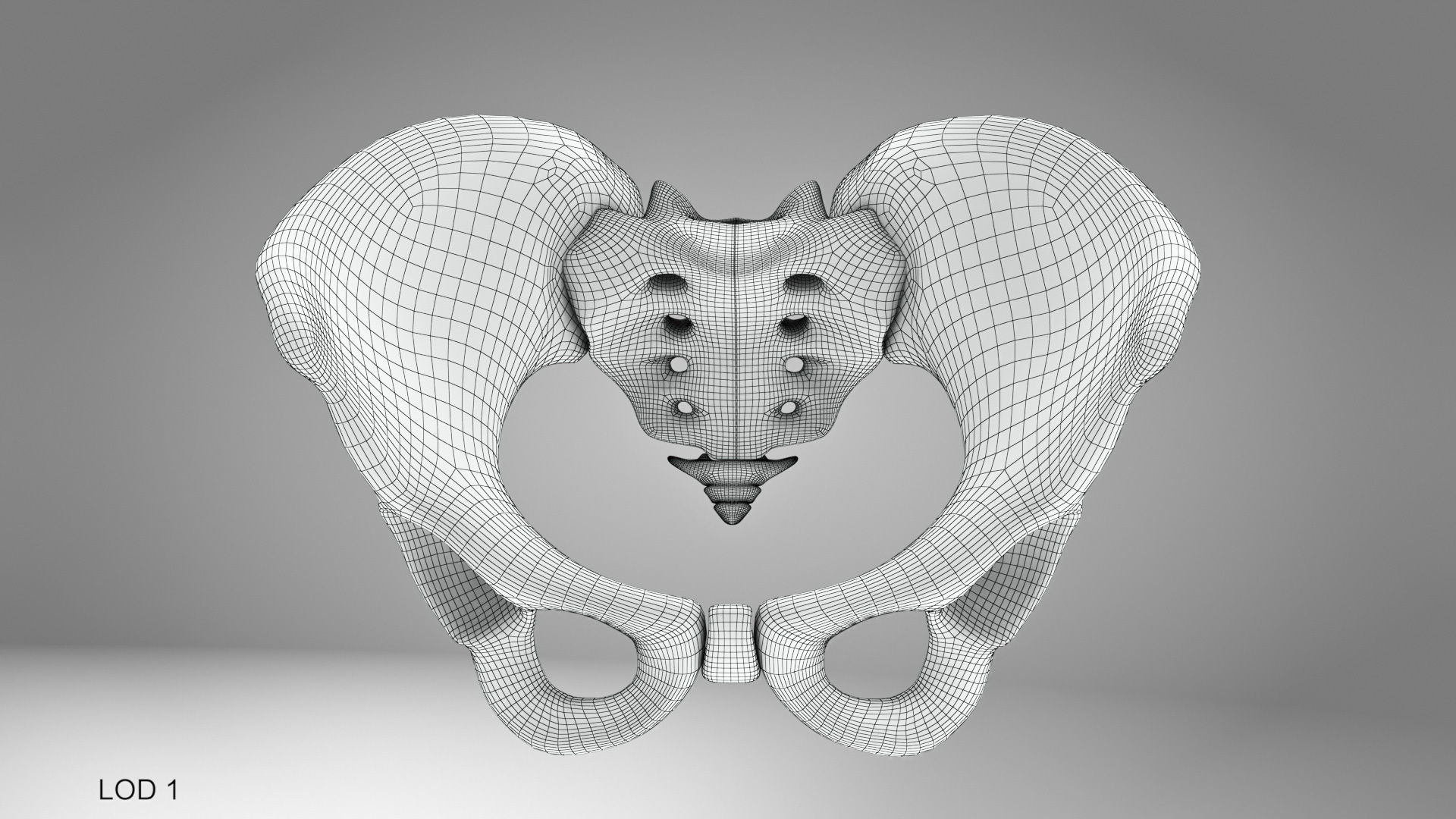 Female Pelvis 3D model_8