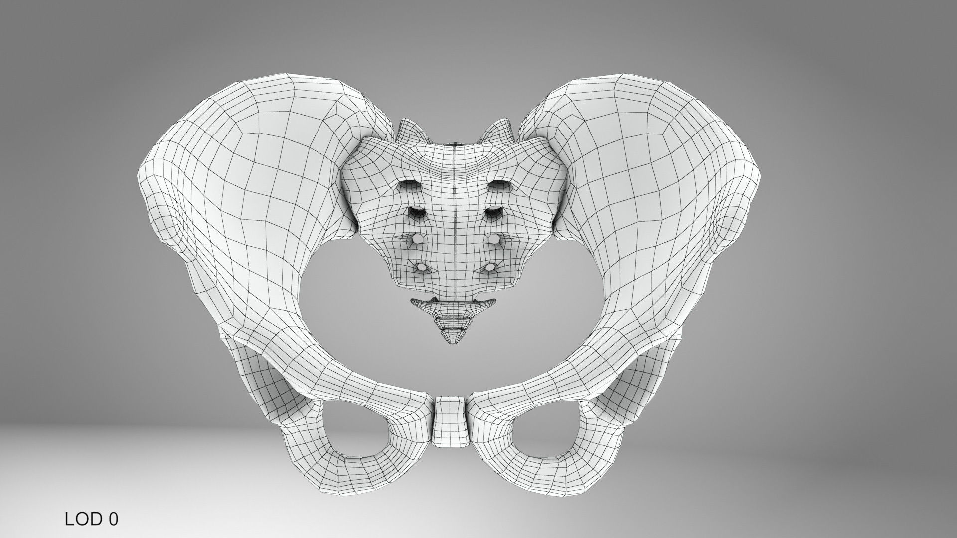 Female Pelvis 3D model_7