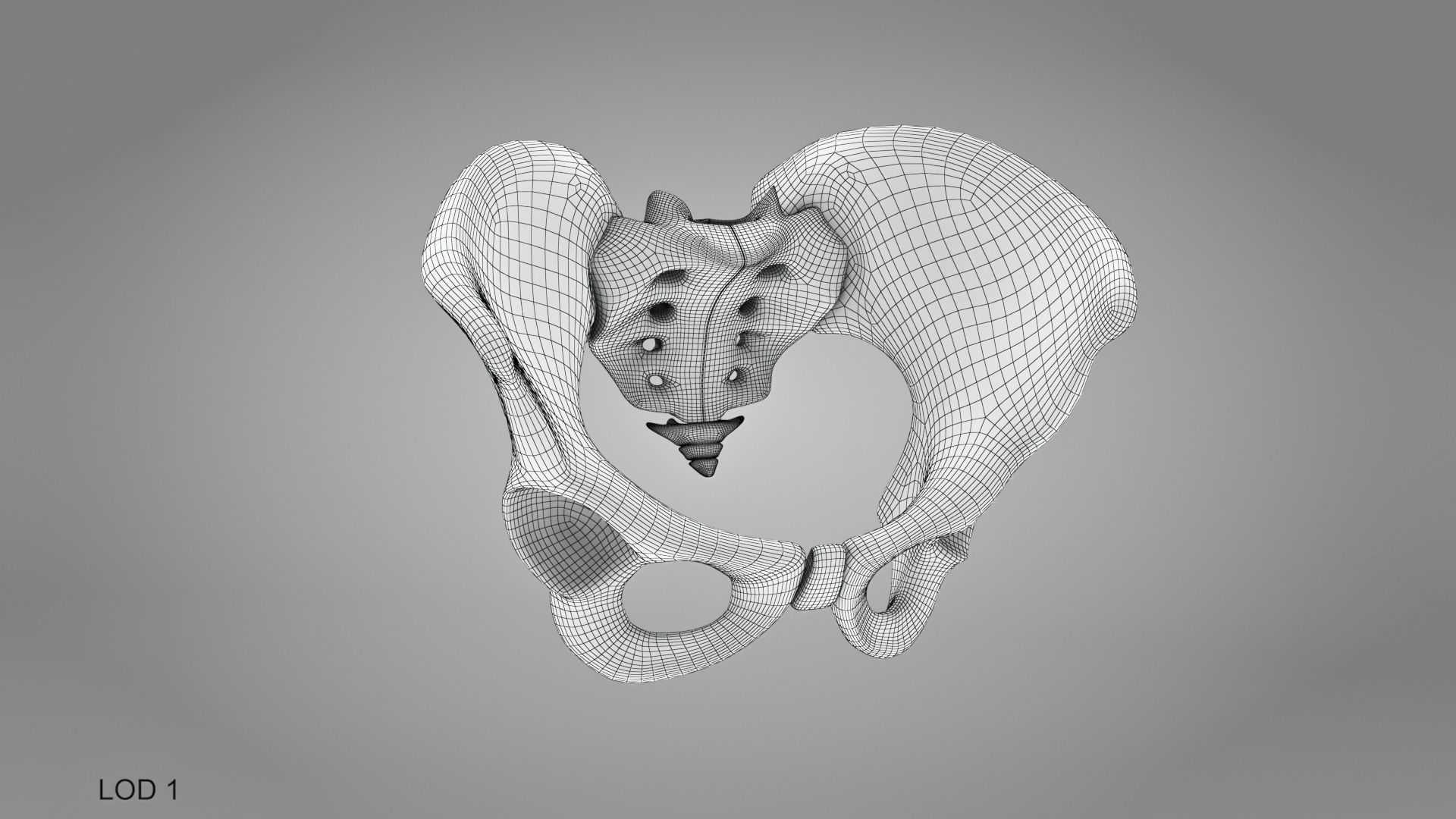 Female Pelvis 3D model_10