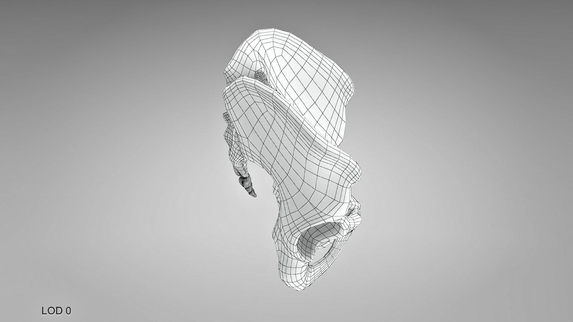 Female Pelvis 3D model_11