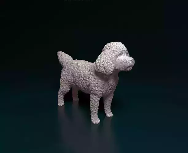 CockerPoo poodle figurine 3D print model