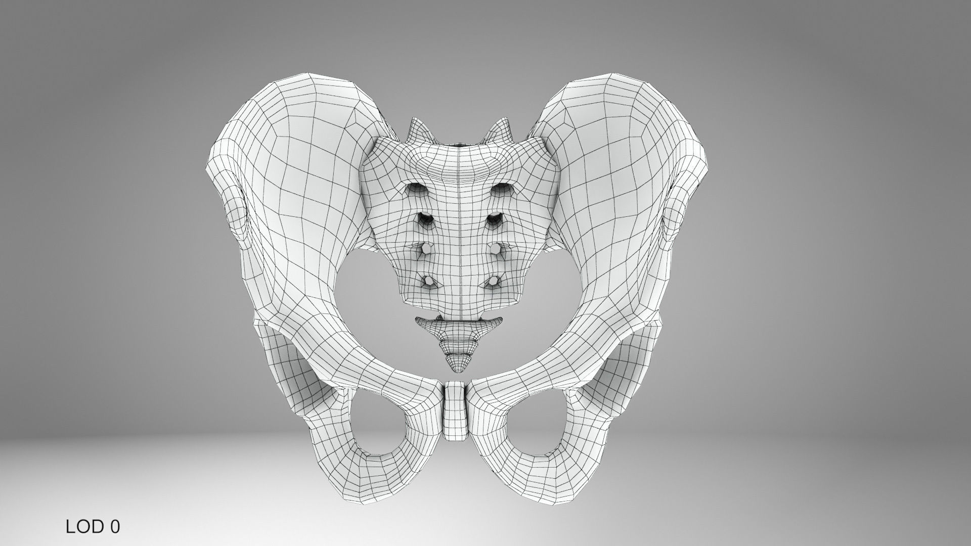 Male Pelvis 3D model_9