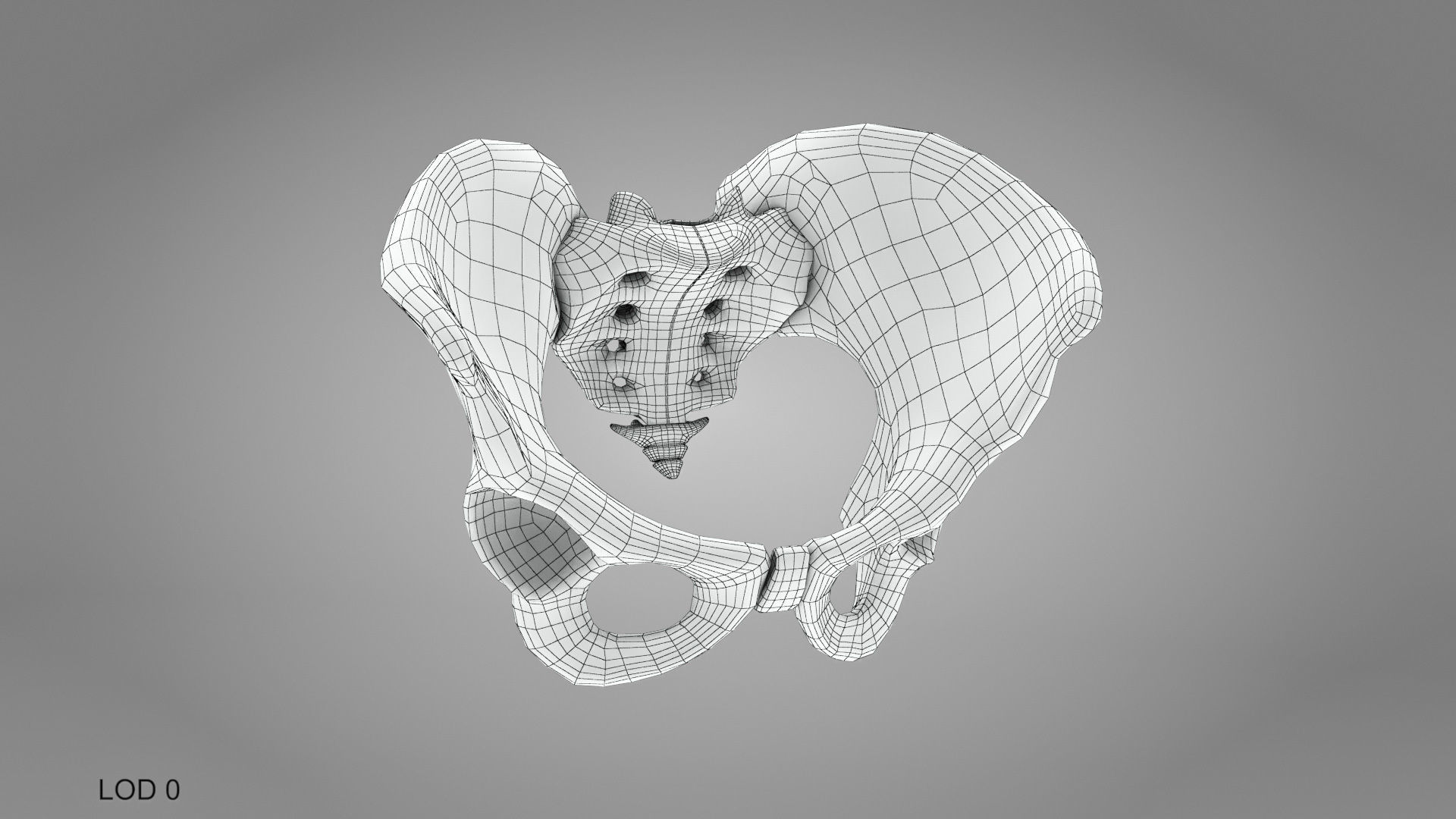 Male Pelvis 3D model_7