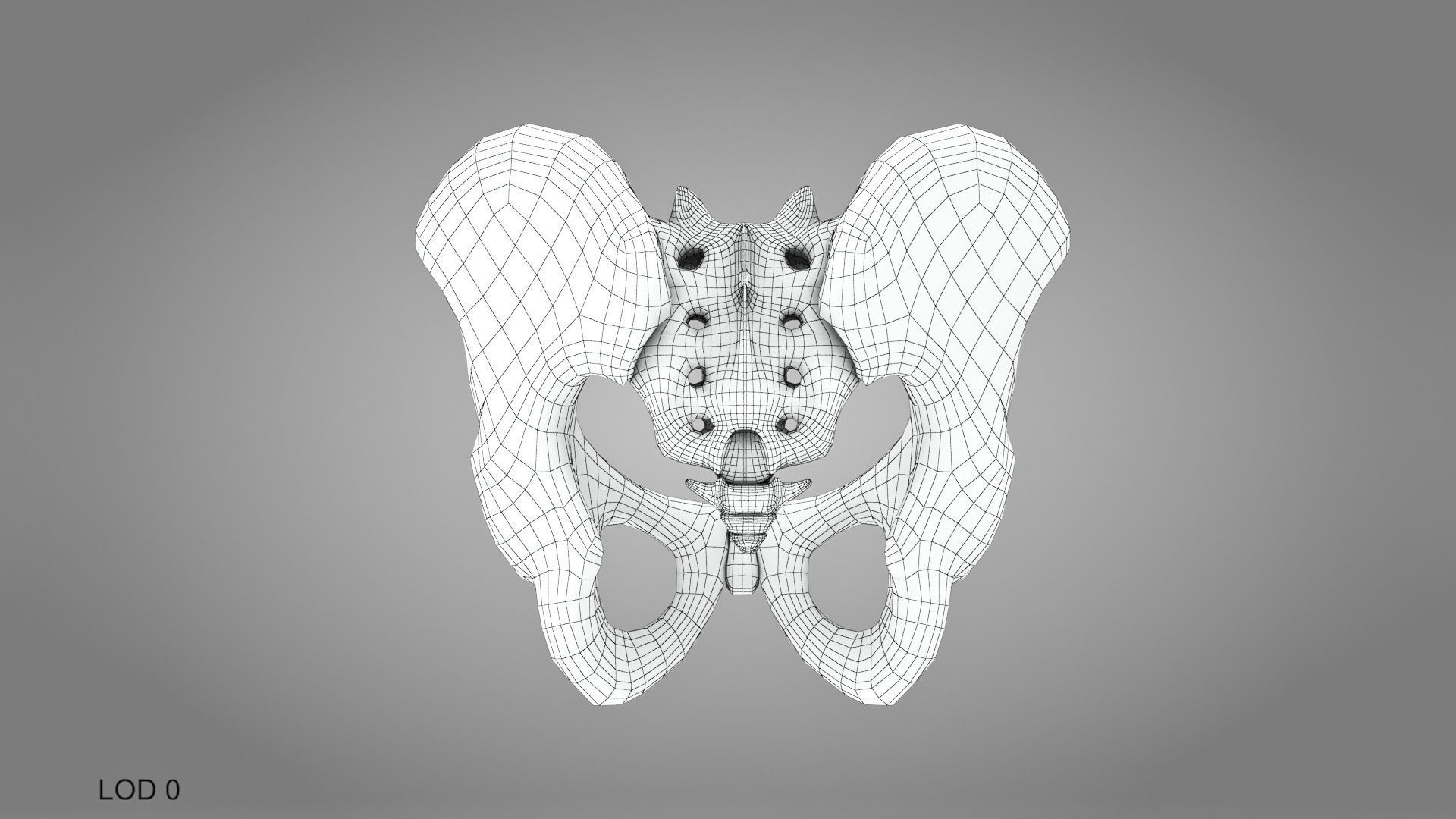 Male Pelvis 3D model_11