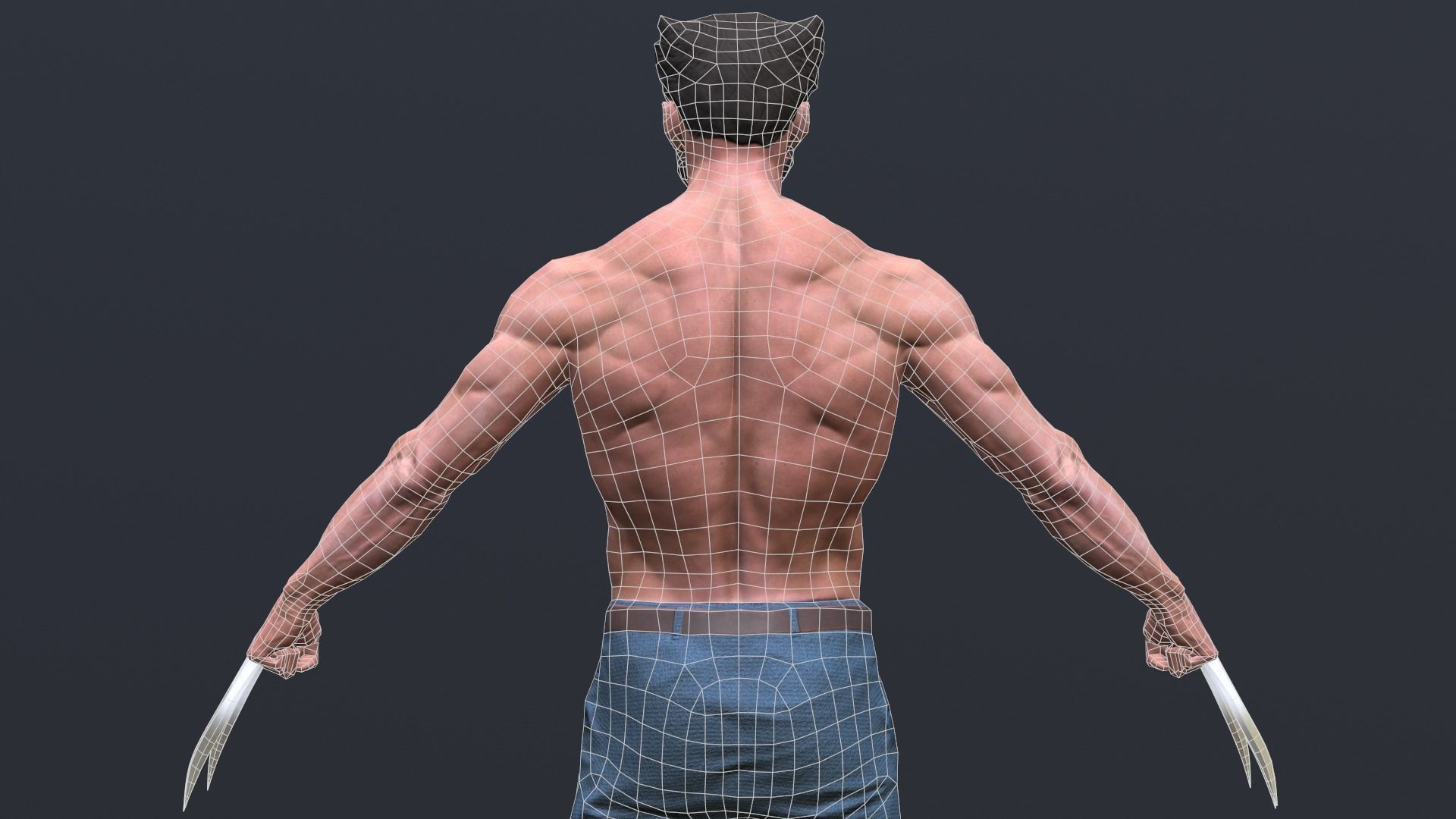 3D model Wolverine VR / AR / low-poly | CGTrader