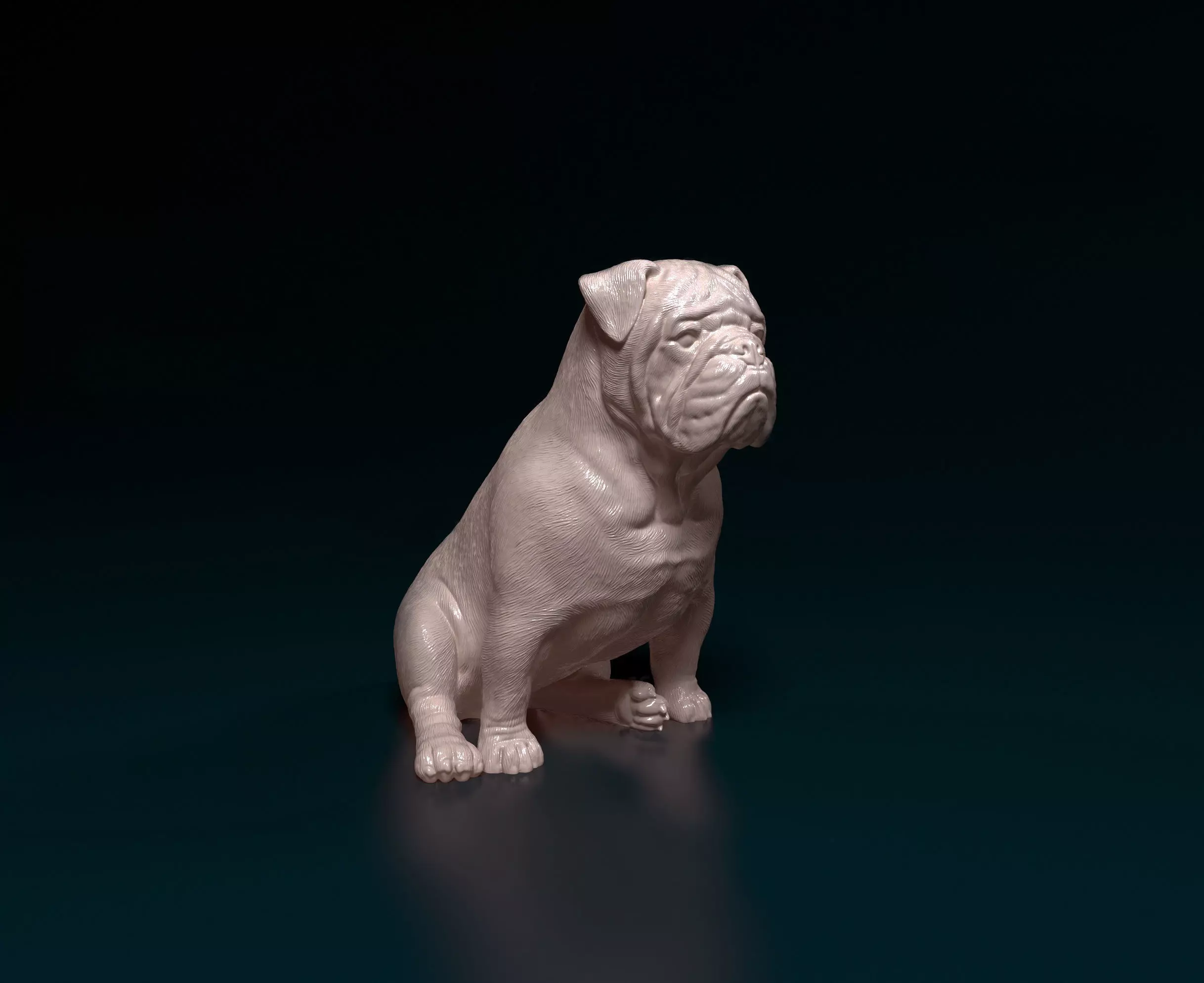 English Bulldog 3D print model_0