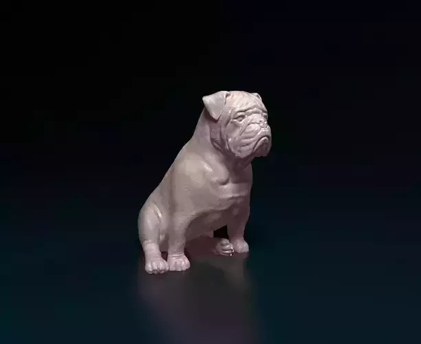 English Bulldog 3D print model