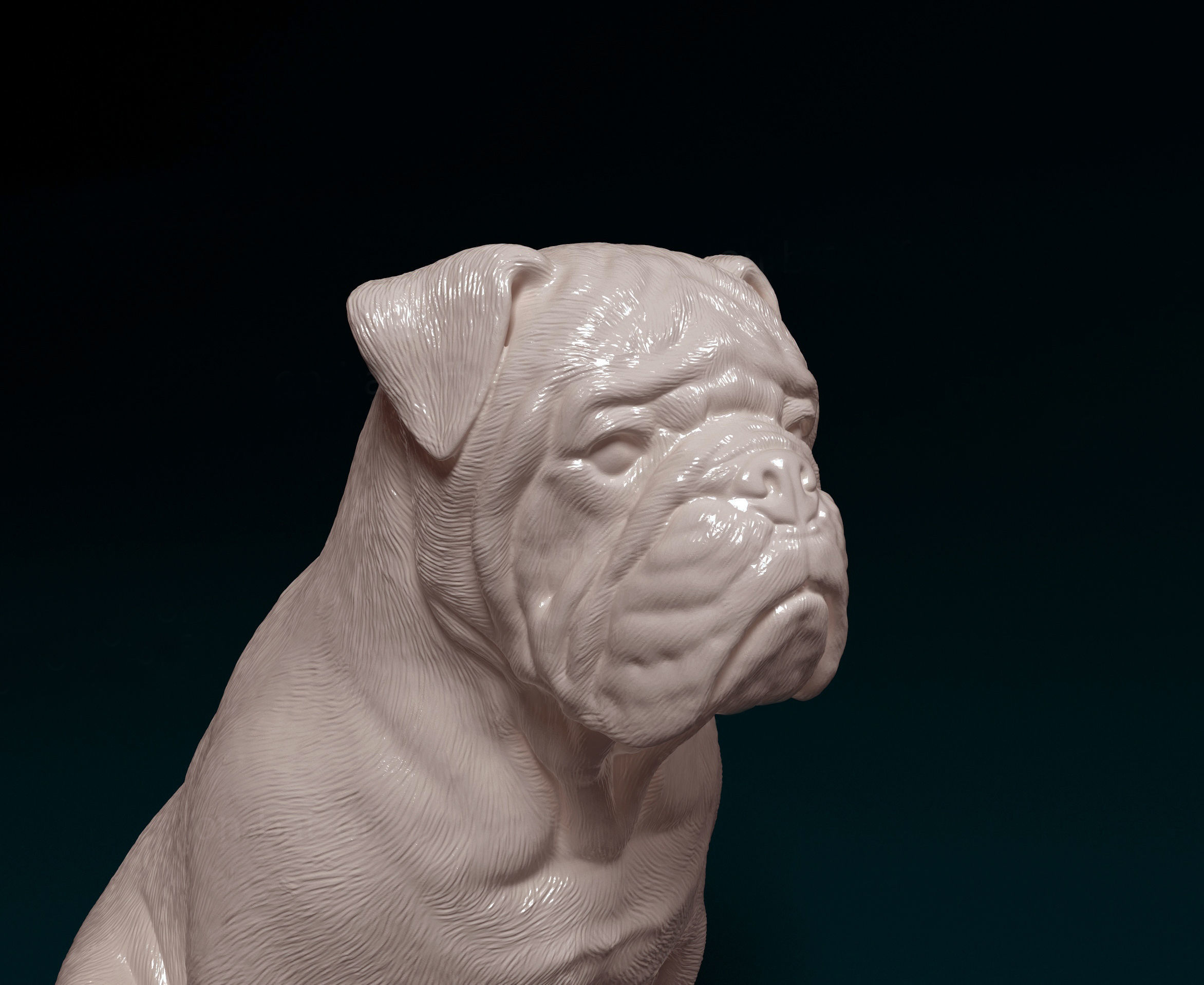 English Bulldog 3D print model_5