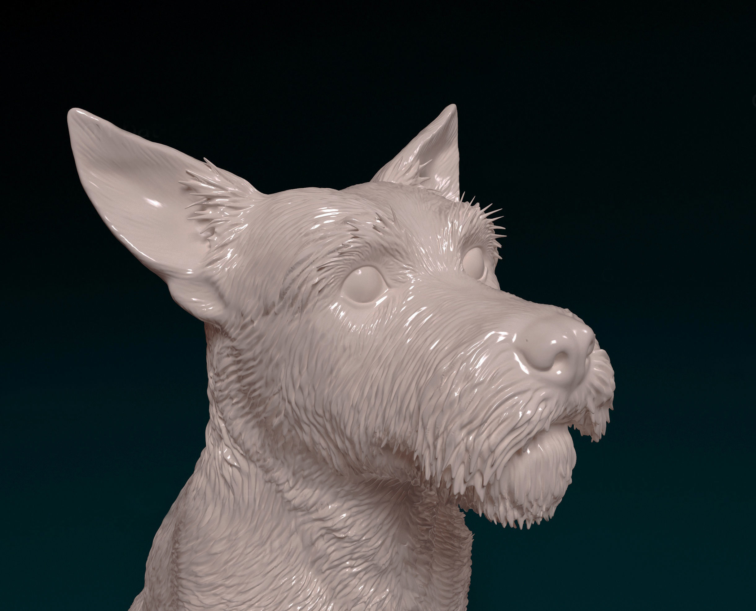 Jack Russell wire haired 3D print model_6