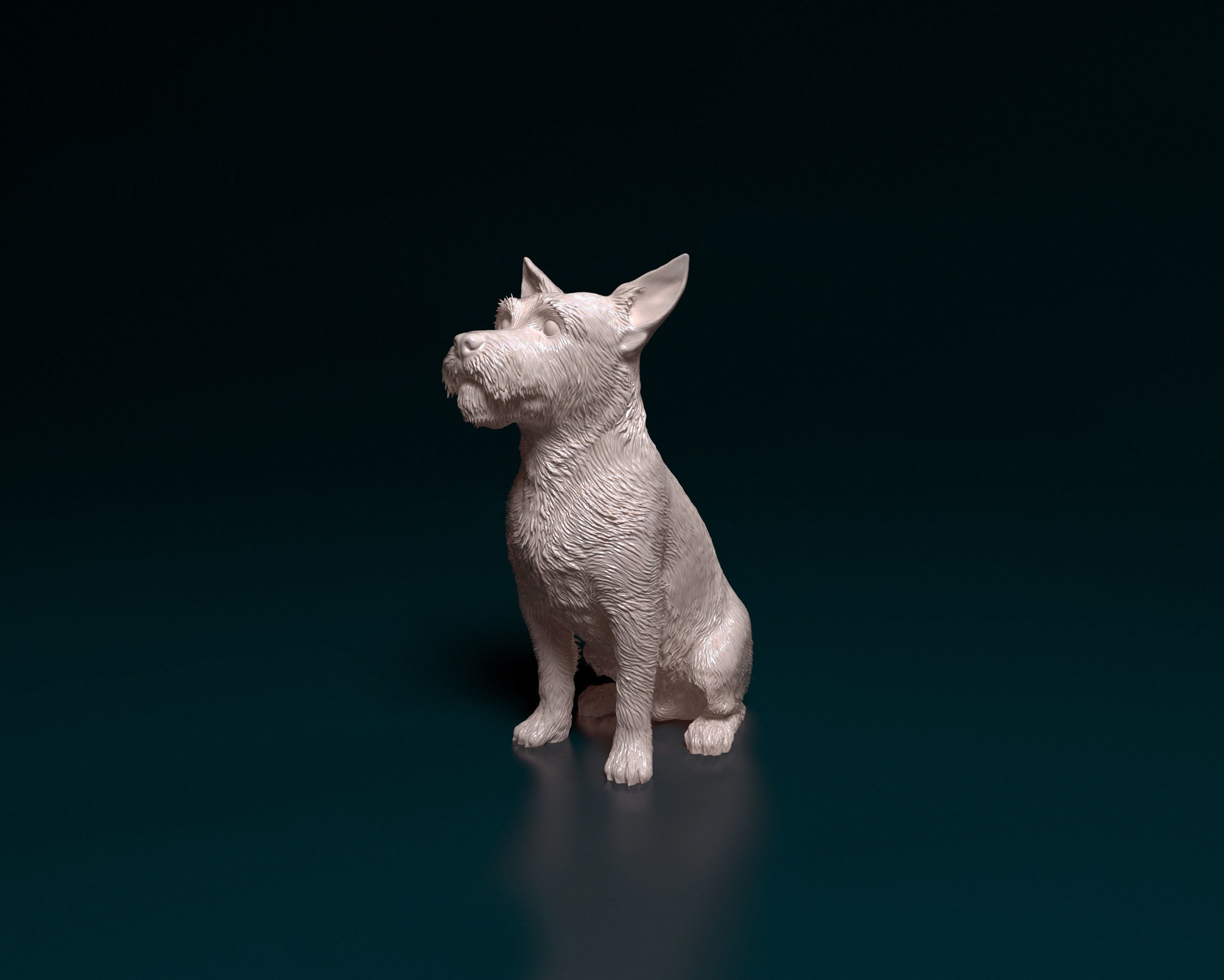 Jack Russell wire haired 3D print model_3