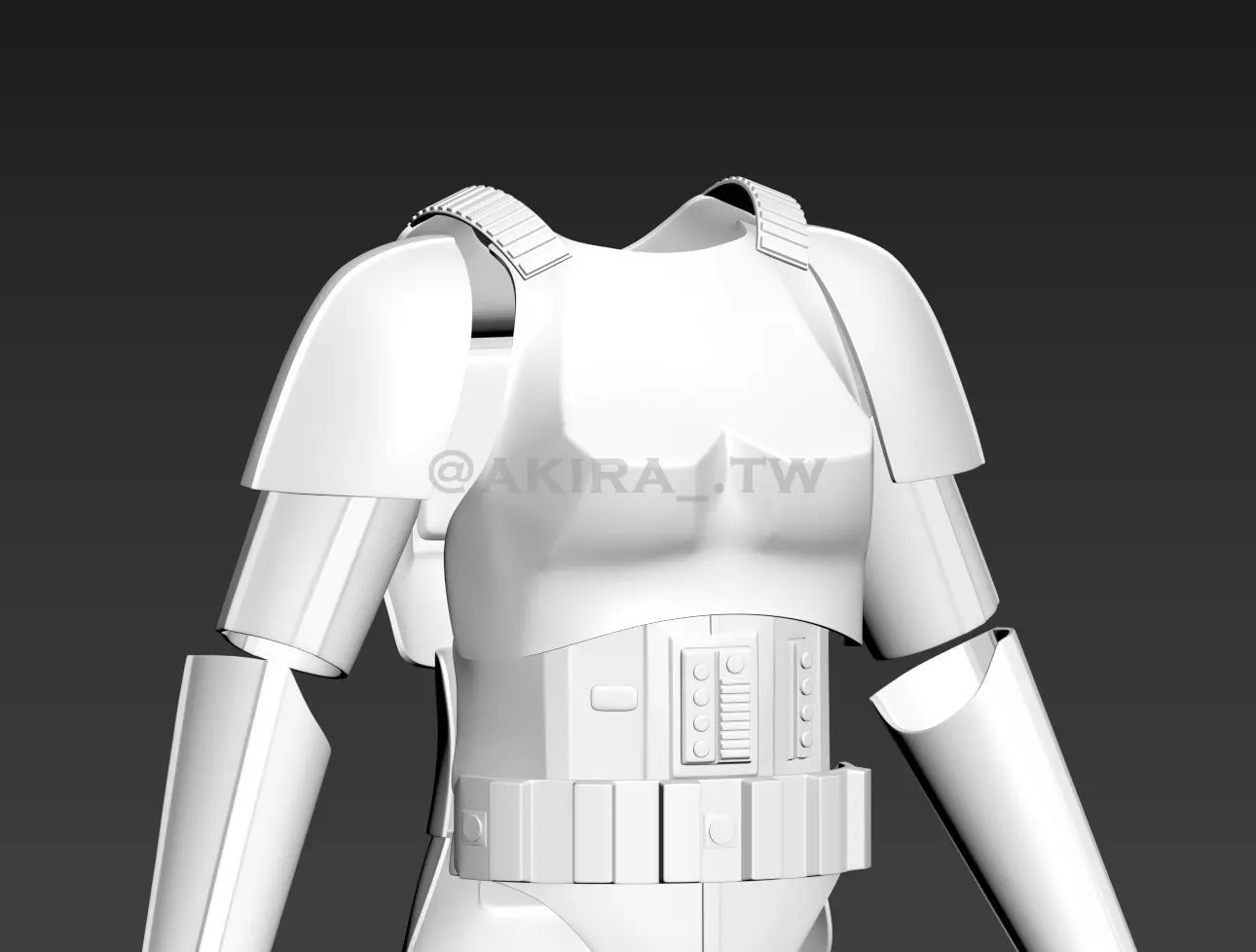 Star Wars Female Stormtrooper ANH Hero Armor Cosplay 3D print model_0