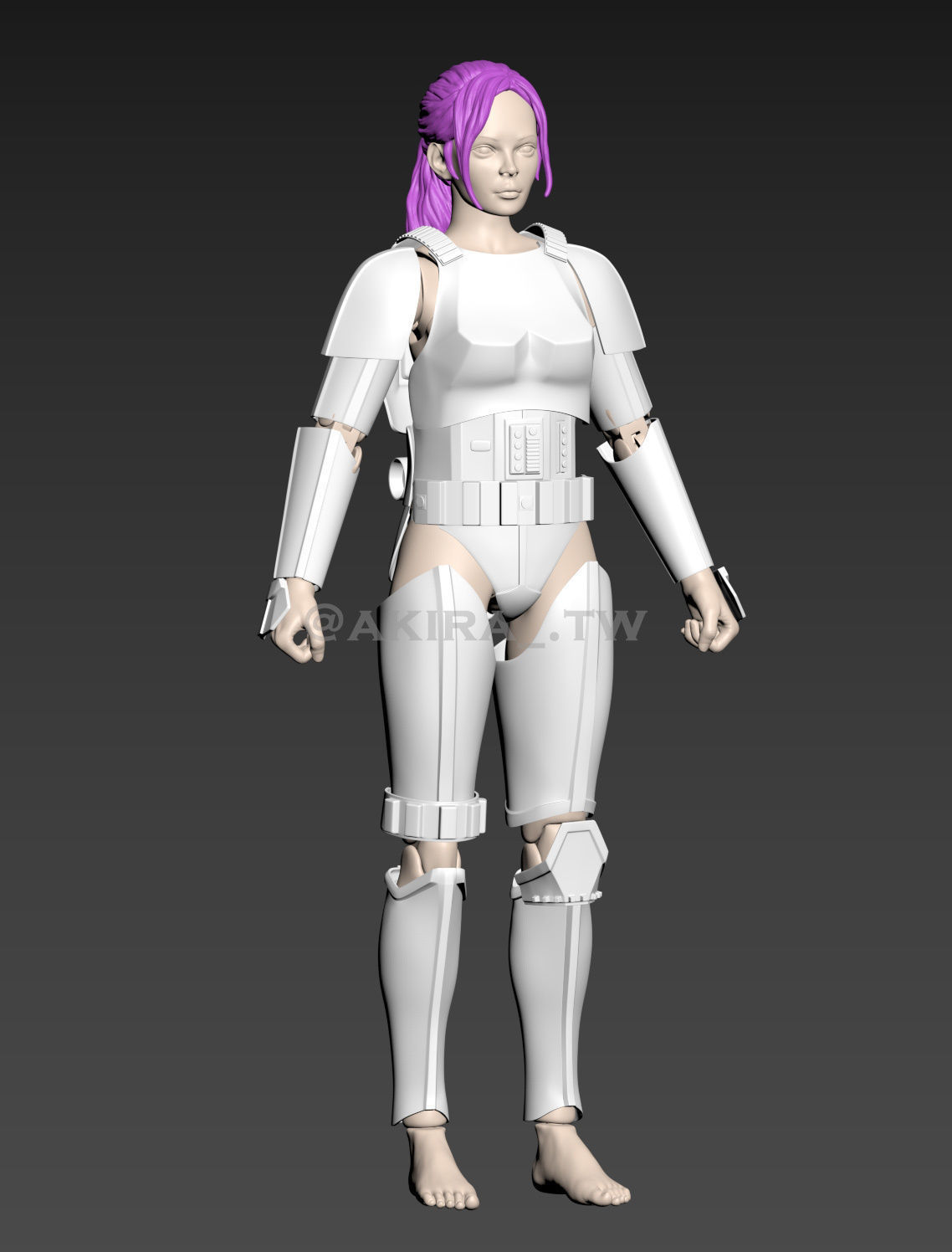 Star Wars Female Stormtrooper ANH Hero Armor Cosplay 3D print model_9