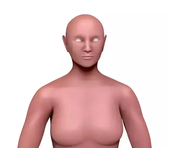 Female Base Model 3D model