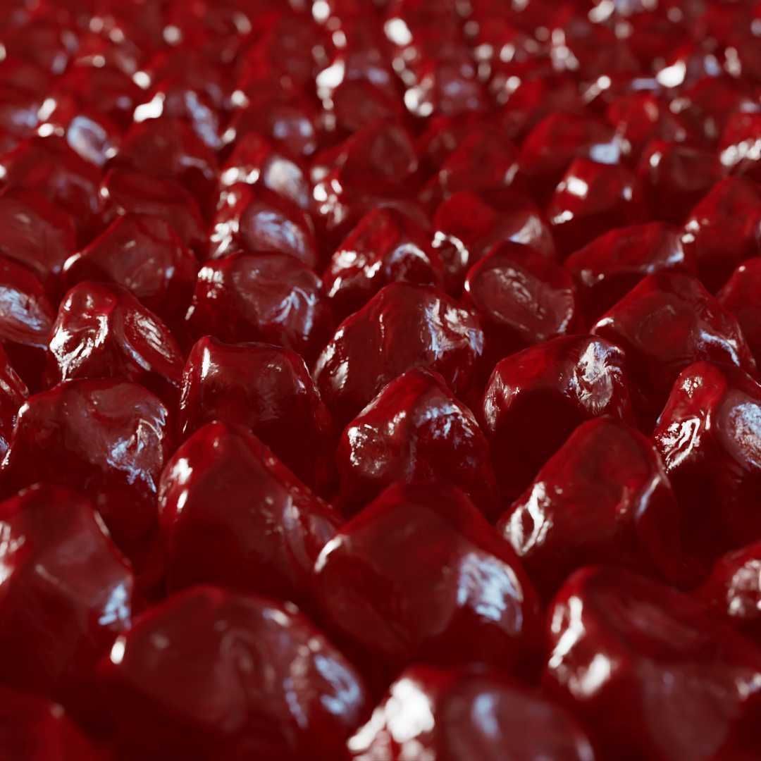 Cranberry Dried Fruit 3D model_4