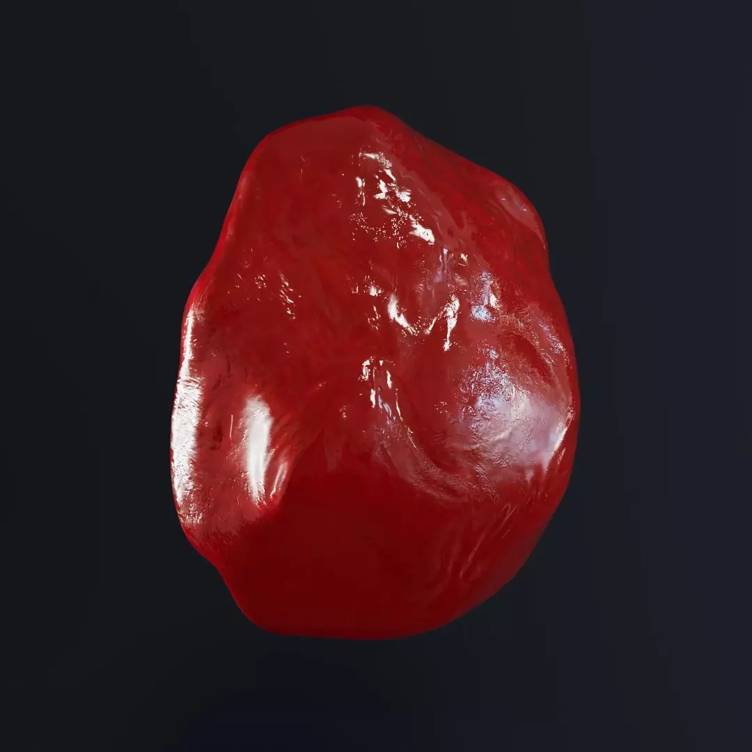 Cranberry Dried Fruit 3D model_0