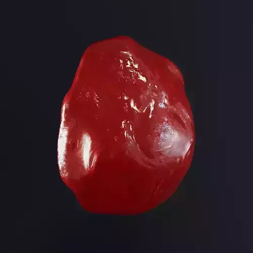 Cranberry Dried Fruit 3D model