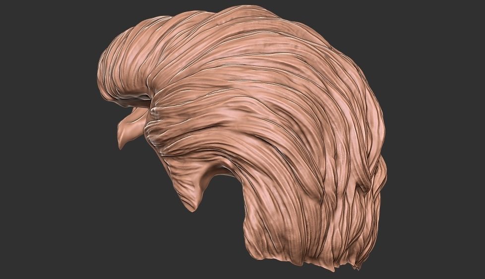hair 35 3D print model_5