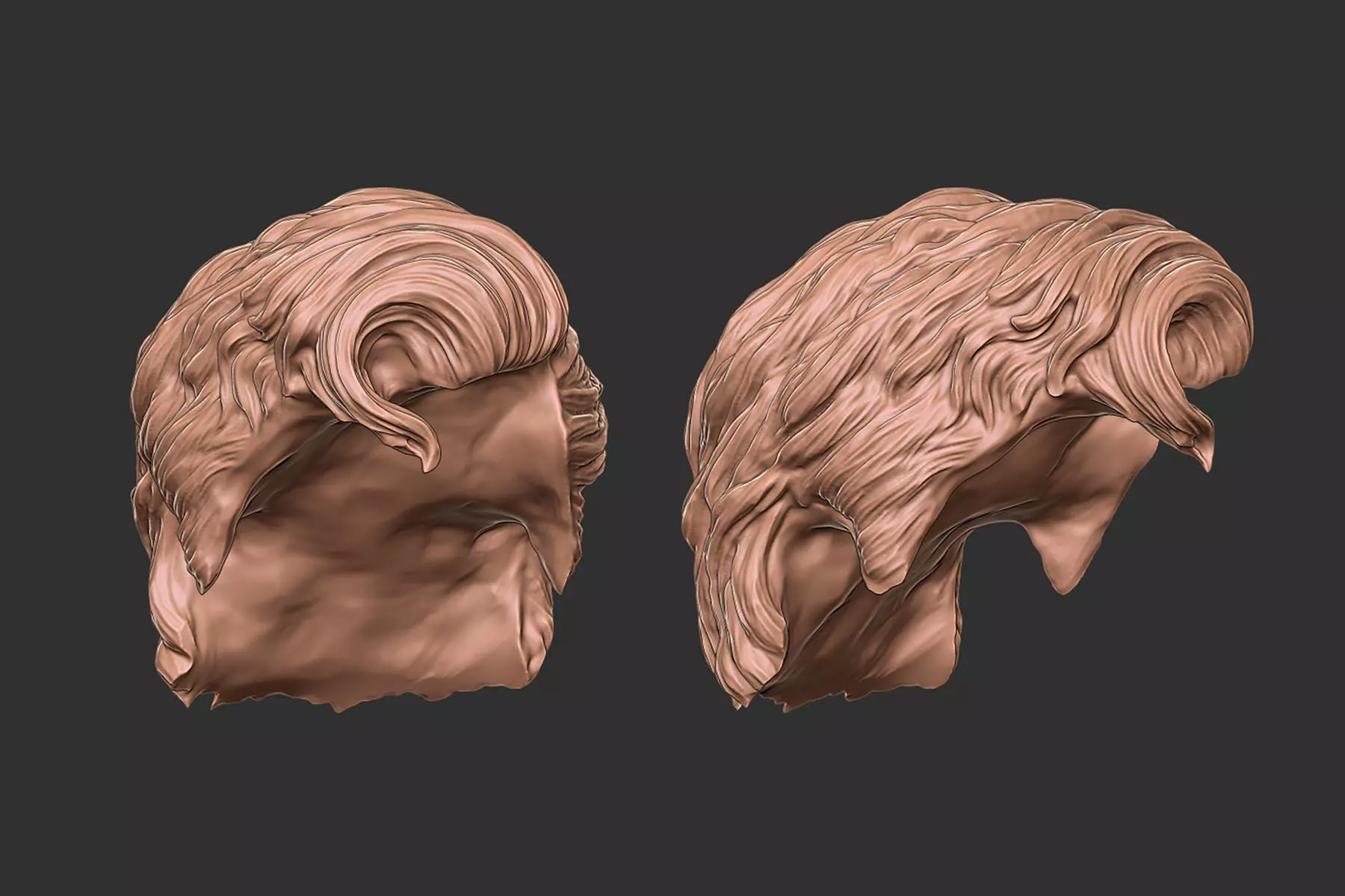 hair 35 3D print model_0