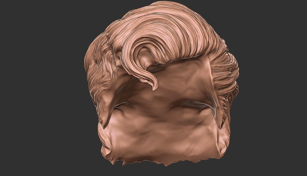 hair 35 3D print model_1