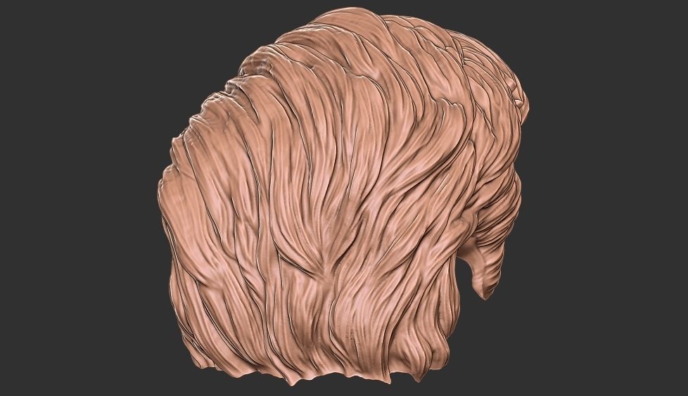 hair 35 3D print model_8