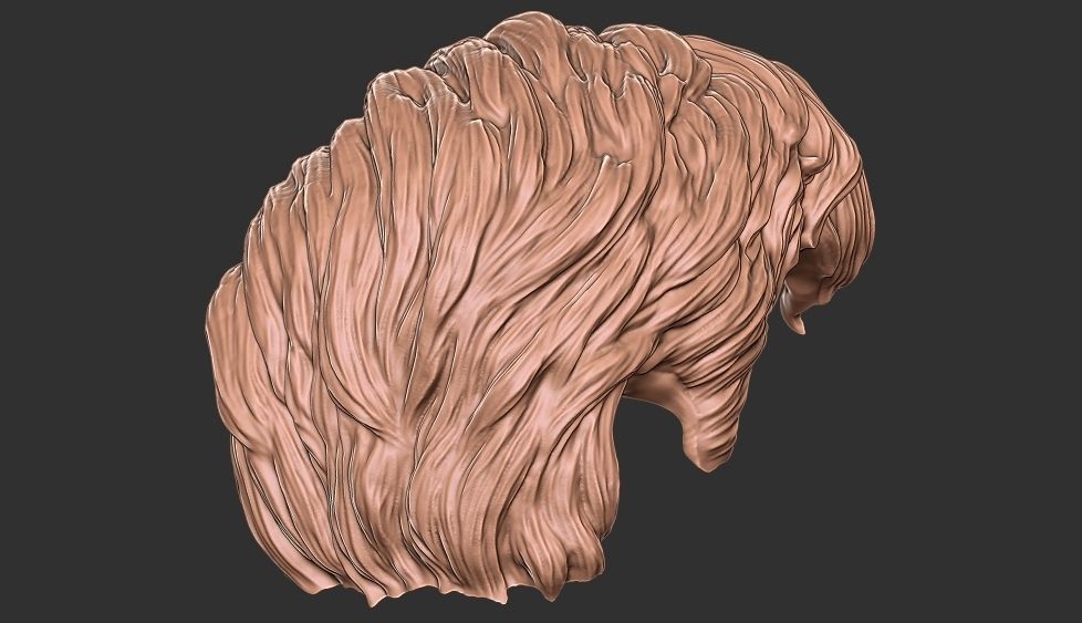 hair 35 3D print model_9